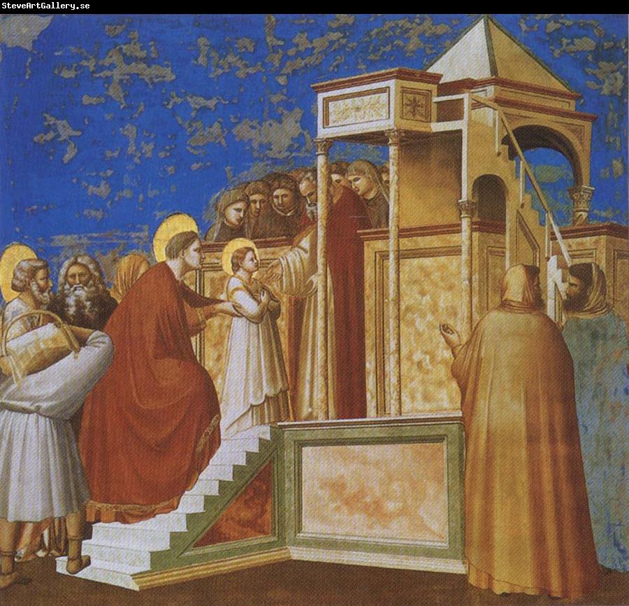 GIOTTO di Bondone Presentation of the Virgin in the Temple